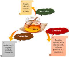 Read more about the article Ethenopharmacology of Suddab: A Comprehensive Review