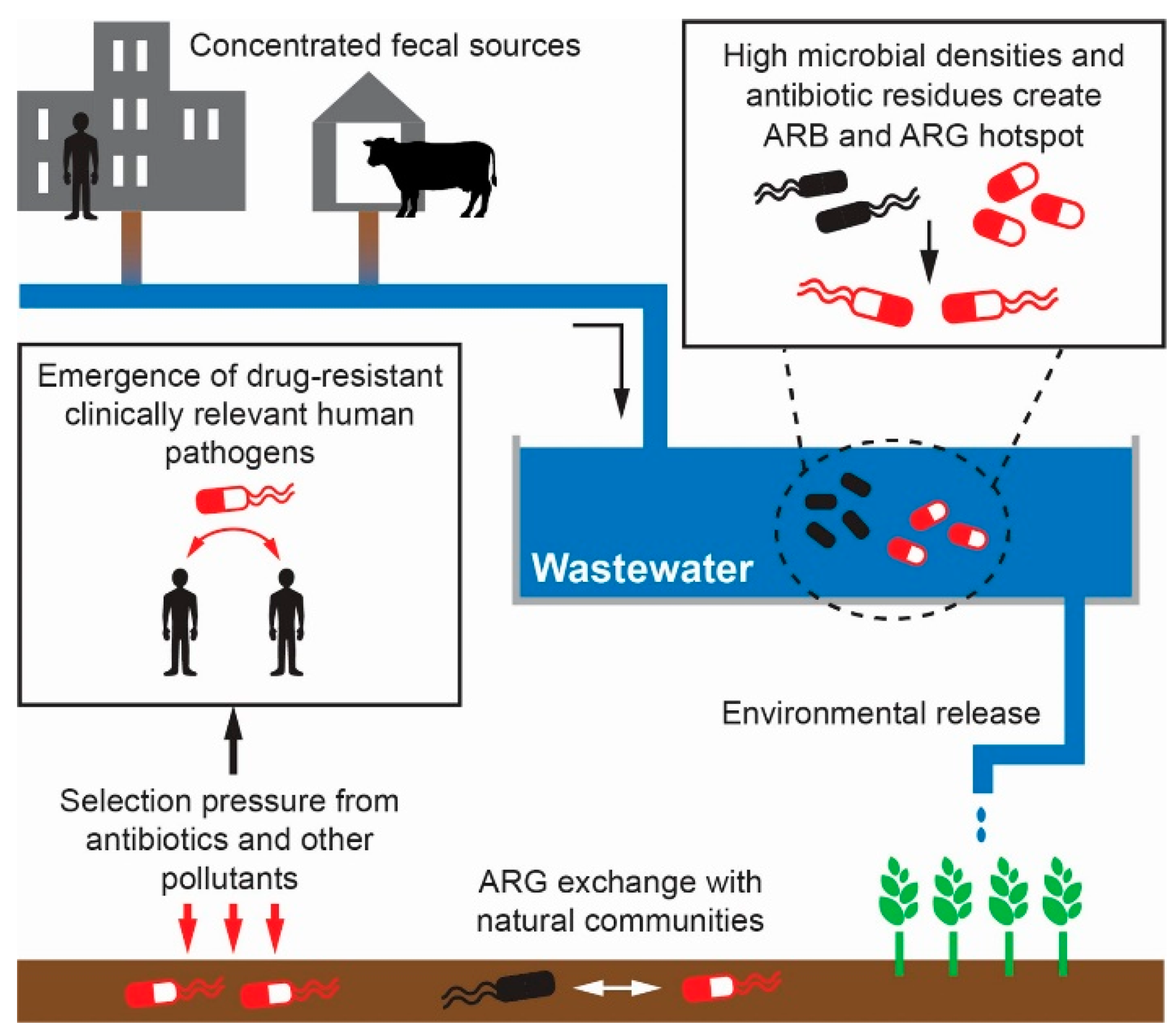 Read more about the article <strong>Heavy Metal and Microbial Contamination of Top Soil and Water around Wadata Abattoir, Makurdi Metropolis</strong>