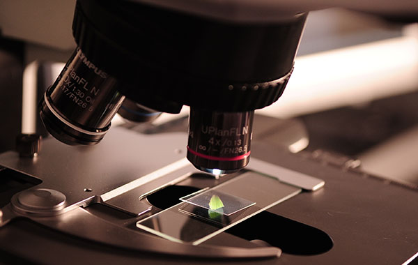 Science Letters Research Banner